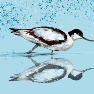 Image of Avocet by Stuart Roy